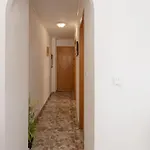 Apartamento 50 Meters From The