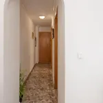 Apartman 50 Meters From The Torrevieja