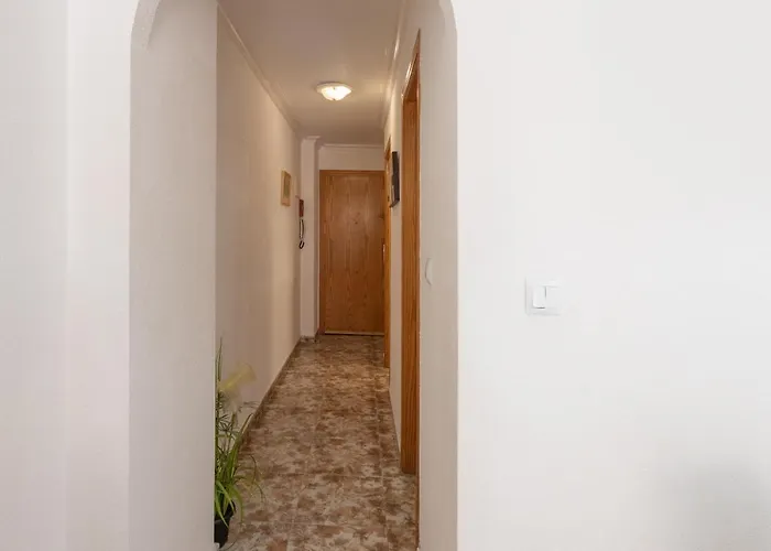 Appartement 50 Meters From The