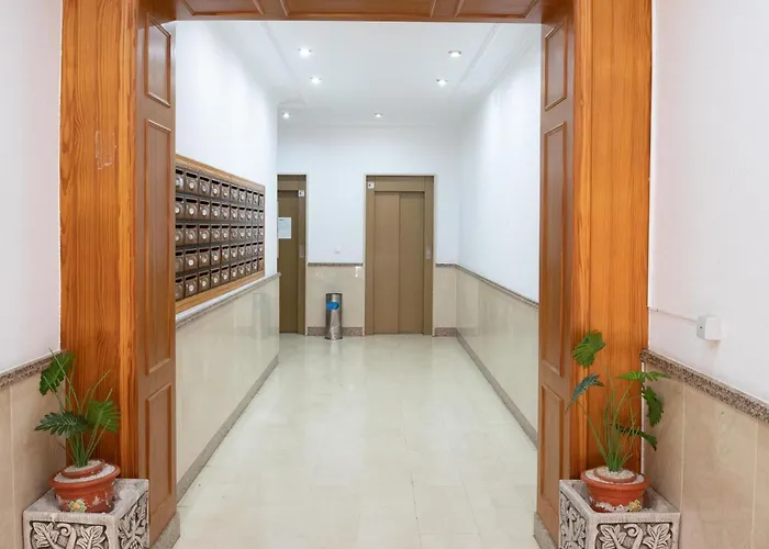 50 Meters From The Apartment